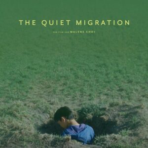 The Quiet Migration
