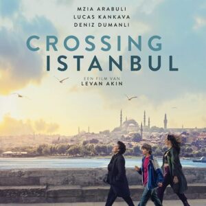 Crossing Istanbul