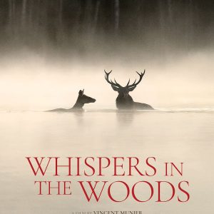 Whispers in the Woods